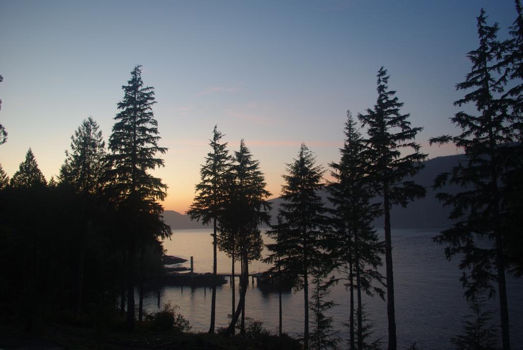 Wild Coast Chalets Port Renfrew Eksteriør billede
